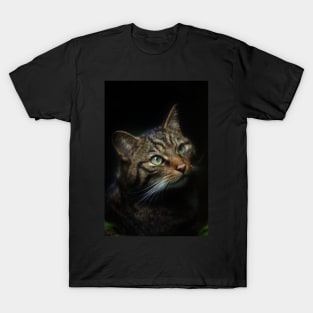 Scottish Wild Cat T-Shirt